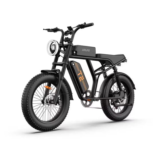 T2 Electric Bike, 20 Inch Fat Tyre, 250W Motor, 48V 15.6Ah Removable Battery, Adult All-Terrain E-Bike