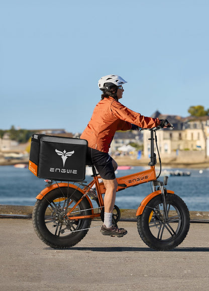 EP-2 Boost Folding Electric Bike, 25km/h, 250W Motor, 55Nm Boost Power, 48V, 13Ah Battery, 20 Inch Fat Tyres Electric Bike