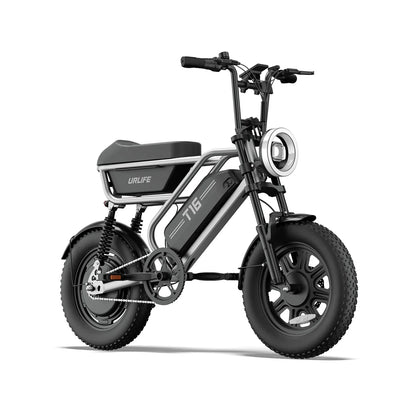 T16 Electric Bicycle, Fat Tyre, 25kmh, 250W Motor, 48V 13Ah Battery, Adult All-Terrain E-Bike