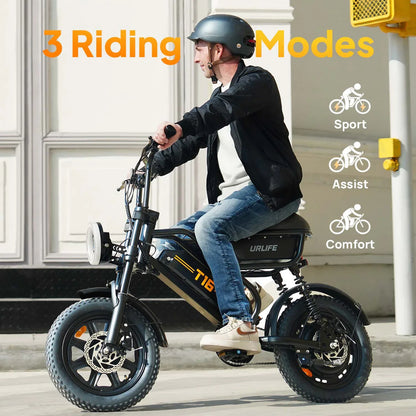 T16 Electric Bicycle, Fat Tyre, 25kmh, 250W Motor, 48V 13Ah Battery, Adult All-Terrain E-Bike