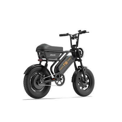 T16 Electric Bicycle, Fat Tyre, 25kmh, 250W Motor, 48V 13Ah Battery, Adult All-Terrain E-Bike