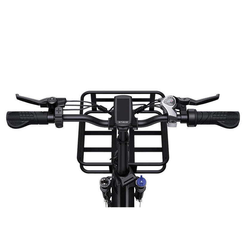 L20 SE 250W 20" Foldable Electric Trekking Bike 561Wh Step-through E-bike