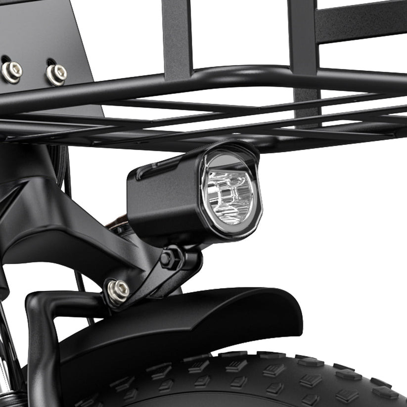 L20 SE 250W 20" Foldable Electric Trekking Bike 561Wh Step-through E-bike