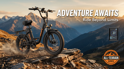E20 adult 20' E-bike 25kmh 250W 48V 13Ah battery commute Electric Bike, Fat Tire city Ebike 7 Speed