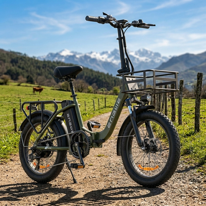 L20 SE 250W 20" Foldable Electric Trekking Bike 561Wh Step-through E-bike