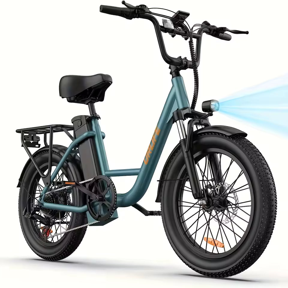 E20 adult 20' E-bike 25kmh 250W 48V 13Ah battery commute Electric Bike, Fat Tire city Ebike 7 Speed
