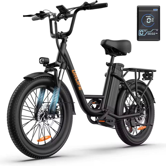 E20 adult 20' E-bike 25kmh 250W 48V 13Ah battery commute Electric Bike, Fat Tire city Ebike 7 Speed