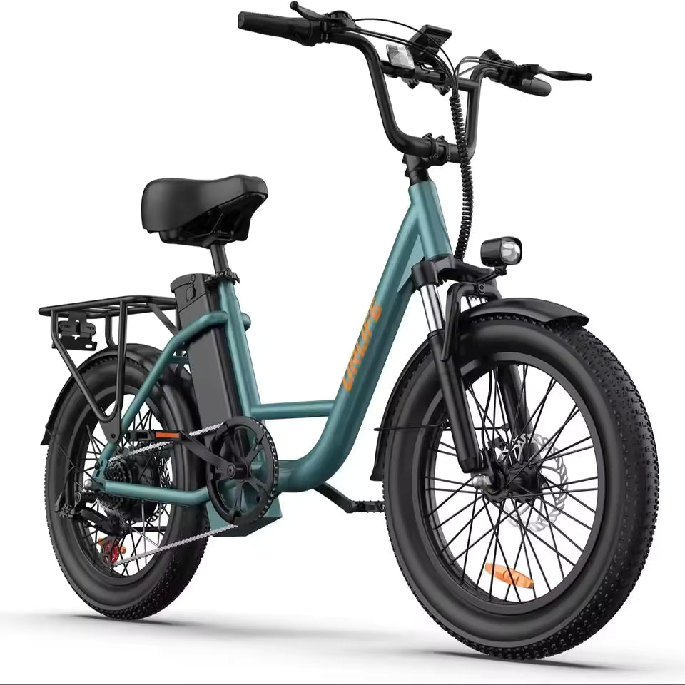 E20 adult 20' E-bike 25kmh 250W 48V 13Ah battery commute Electric Bike, Fat Tire city Ebike 7 Speed