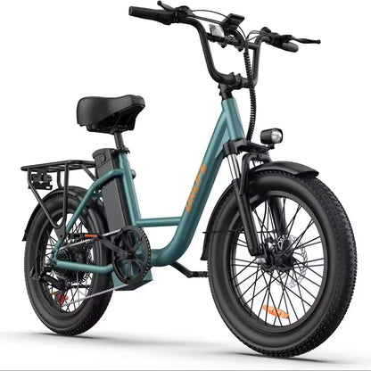 E20 adult 20' E-bike 25kmh 250W 48V 13Ah battery commute Electric Bike, Fat Tire city Ebike 7 Speed
