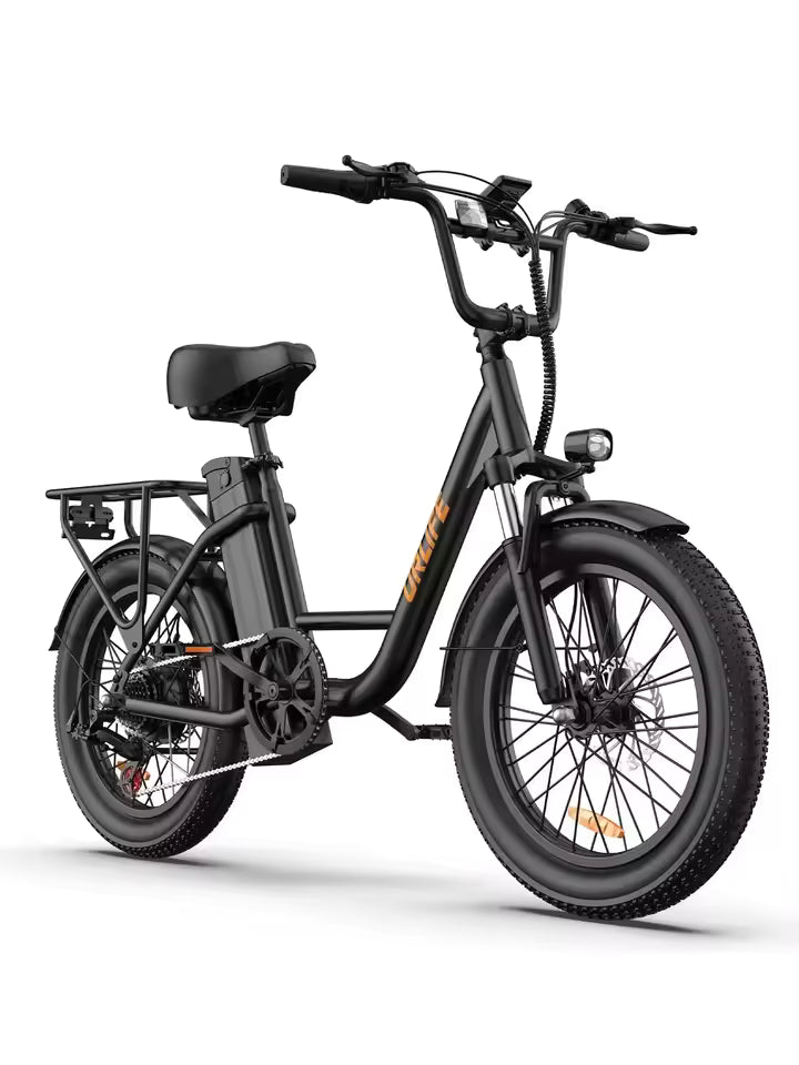 E20 adult 20' E-bike 25kmh 250W 48V 13Ah battery commute Electric Bike, Fat Tire city Ebike 7 Speed