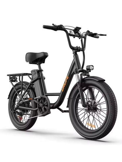 E20 adult 20' E-bike 25kmh 250W 48V 13Ah battery commute Electric Bike, Fat Tire city Ebike 7 Speed