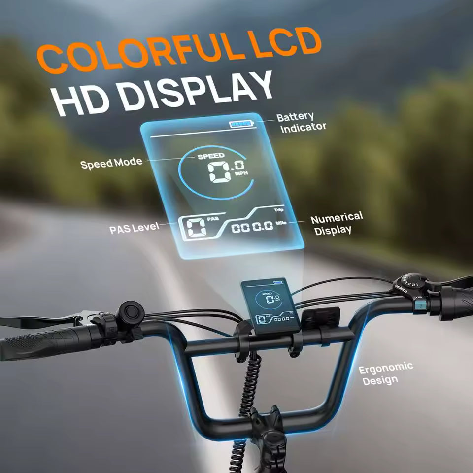 E20 adult 20' E-bike 25kmh 250W 48V 13Ah battery commute Electric Bike, Fat Tire city Ebike 7 Speed