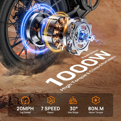 E20 adult 20' E-bike 25kmh 250W 48V 13Ah battery commute Electric Bike, Fat Tire city Ebike 7 Speed