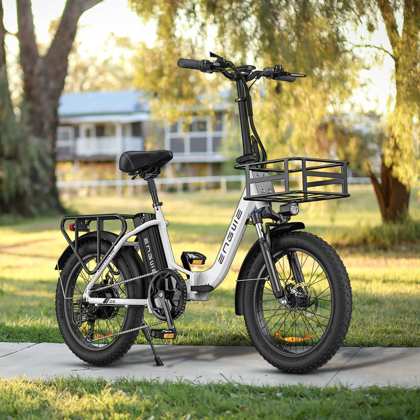 L20 SE 250W 20" Foldable Electric Trekking Bike 561Wh Step-through E-bike
