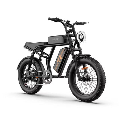 T2 Electric Bike, 20 Inch Fat Tyre, 250W Motor, 48V 15.6Ah Removable Battery, Adult All-Terrain E-Bike