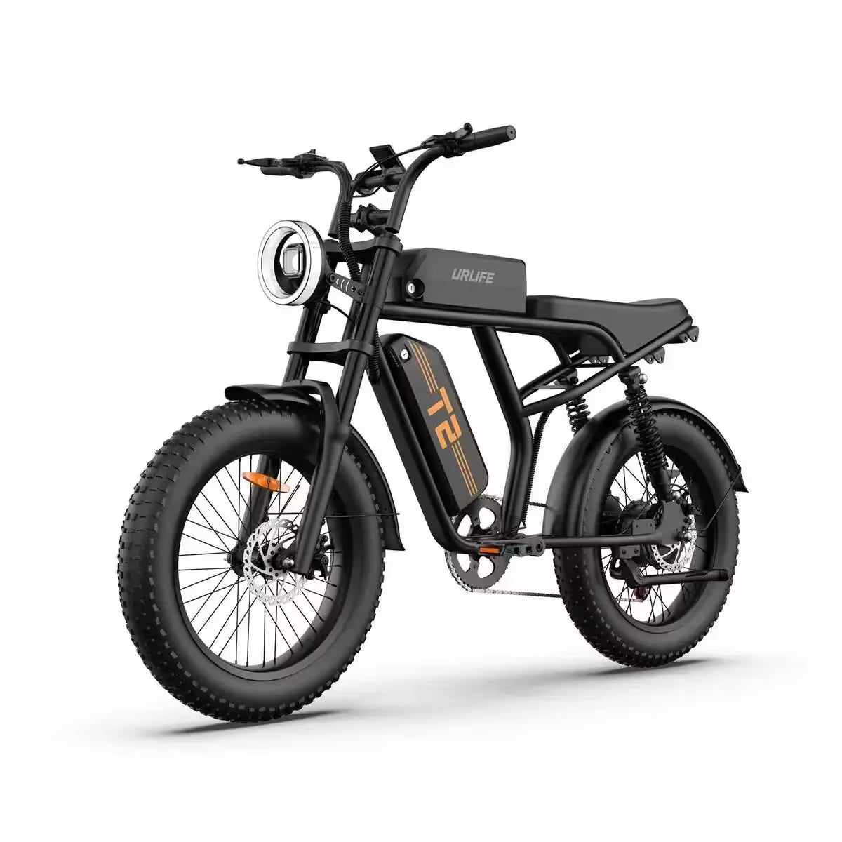 T2 Electric Bike, 20 Inch Fat Tyre, 250W Motor, 48V 15.6Ah Removable Battery, Adult All-Terrain E-Bike