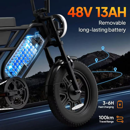 T16 Electric Bicycle, Fat Tyre, 25kmh, 250W Motor, 48V 13Ah Battery, Adult All-Terrain E-Bike