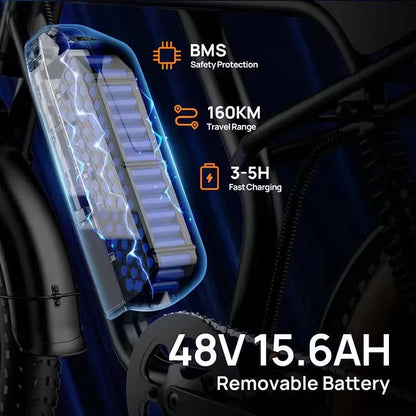 T2 Electric Bike, 20 Inch Fat Tyre, 250W Motor, 48V 15.6Ah Removable Battery, Adult All-Terrain E-Bike
