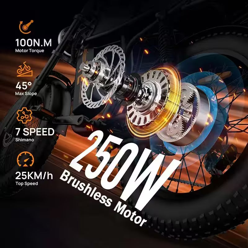 T2 Electric Bike, 20 Inch Fat Tyre, 250W Motor, 48V 15.6Ah Removable Battery, Adult All-Terrain E-Bike