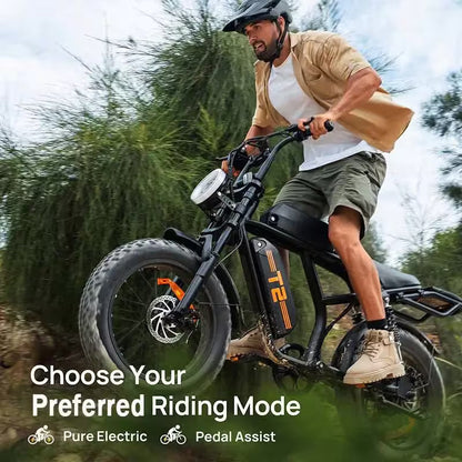 T2 Electric Bike, 20 Inch Fat Tyre, 250W Motor, 48V 15.6Ah Removable Battery, Adult All-Terrain E-Bike