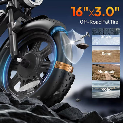 T16 Electric Bicycle, Fat Tyre, 25kmh, 250W Motor, 48V 13Ah Battery, Adult All-Terrain E-Bike