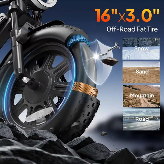 T16 Electric Bicycle, Fat Tyre, 25kmh, 250W Motor, 48V 13Ah Battery, Adult All-Terrain E-Bike