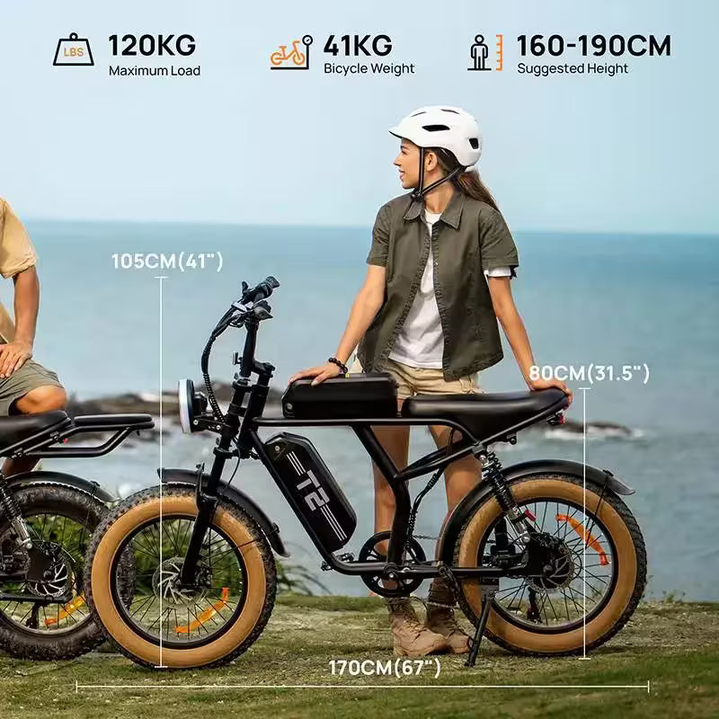 T2 Electric Bike, 20 Inch Fat Tyre, 250W Motor, 48V 15.6Ah Removable Battery, Adult All-Terrain E-Bike