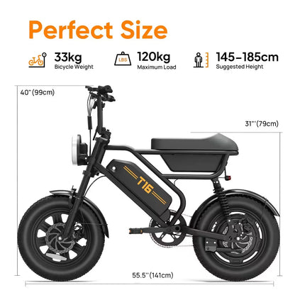 T16 Electric Bicycle, Fat Tyre, 25kmh, 250W Motor, 48V 13Ah Battery, Adult All-Terrain E-Bike